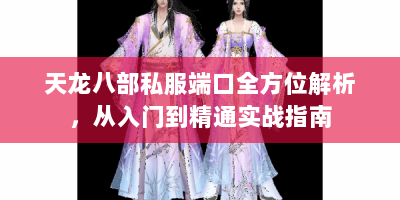 天龙八部私服端口全方位解析，从入门到精通实战指南