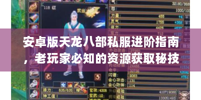 安卓版天龙八部私服进阶指南，老玩家必知的资源获取秘技