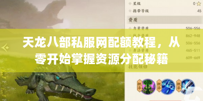 天龙八部私服网配额教程，从零开始掌握资源分配秘籍