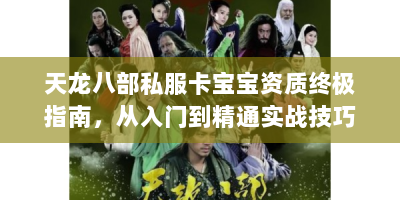 天龙八部私服卡宝宝资质终极指南，从入门到精通实战技巧