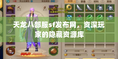 天龙八部服sf发布网，资深玩家的隐藏资源库