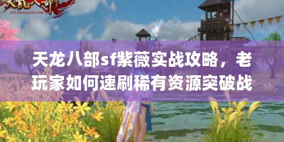 天龙八部sf紫薇实战攻略，老玩家如何速刷稀有资源突破战力瓶颈？