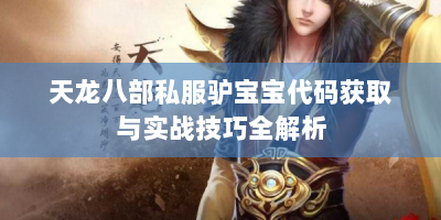 天龙八部私服驴宝宝代码获取与实战技巧全解析