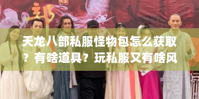天龙八部私服怪物包怎么获取？有啥道具？玩私服又有啥风险？