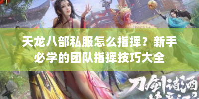 天龙八部私服怎么指挥？新手必学的团队指挥技巧大全