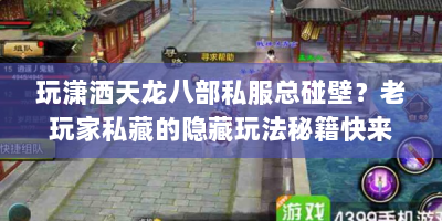 玩潇洒天龙八部私服总碰壁？老玩家私藏的隐藏玩法秘籍快来看