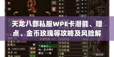 天龙八部私服WPE卡潜能、赠点、金币玫瑰等攻略及风险解析