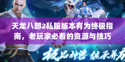 天龙八部2私服版本有为终极指南，老玩家必看的资源与技巧