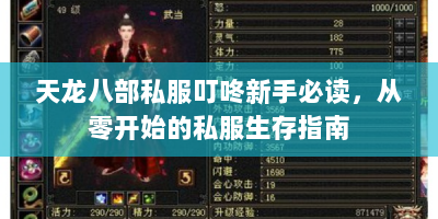 天龙八部私服叮咚新手必读，从零开始的私服生存指南