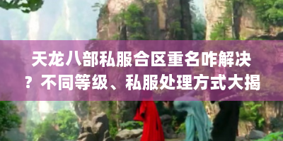 天龙八部私服合区重名咋解决？不同等级、私服处理方式大揭秘！
