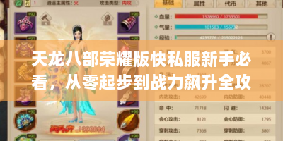 天龙八部荣耀版快私服新手必看，从零起步到战力飙升全攻略