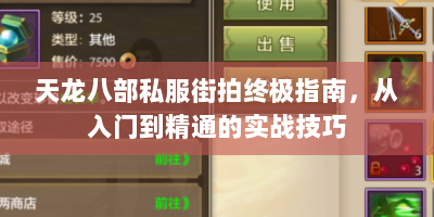 天龙八部私服街拍终极指南，从入门到精通的实战技巧