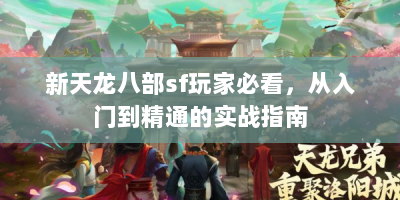 新天龙八部sf玩家必看，从入门到精通的实战指南