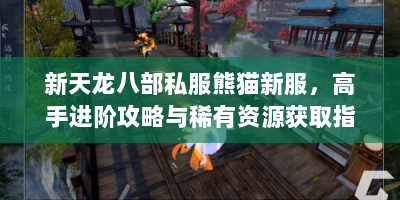新天龙八部私服熊猫新服，高手进阶攻略与稀有资源获取指南