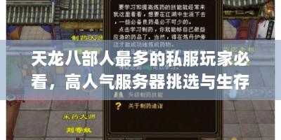 天龙八部人最多的私服玩家必看，高人气服务器挑选与生存法则