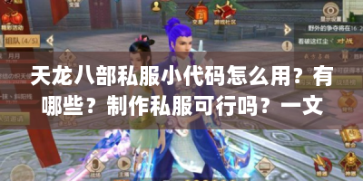天龙八部私服小代码怎么用？有哪些？制作私服可行吗？一文解答