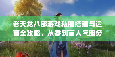 老天龙八部游戏私服搭建与运营全攻略，从零到高人气服务器实战解析