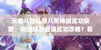 天龙八部私服八荒神域武功获取、刷经验及最强武功攻略？看这！