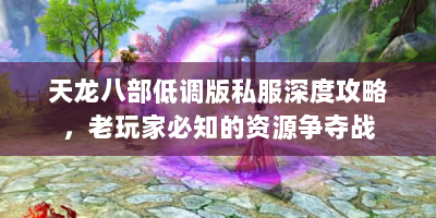 天龙八部低调版私服深度攻略，老玩家必知的资源争夺战