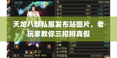 天龙八部私服发布站图片，老玩家教你三招辨真假
