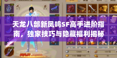天龙八部新凤鸣SF高手进阶指南，独家技巧与隐藏福利揭秘