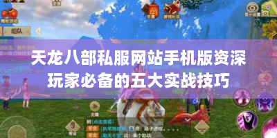 天龙八部私服网站手机版资深玩家必备的五大实战技巧