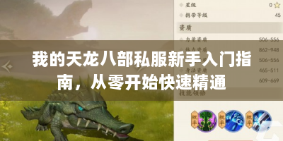 我的天龙八部私服新手入门指南，从零开始快速精通