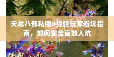 天龙八部私服0经验玩家避坑指南，如何安全高效入坑