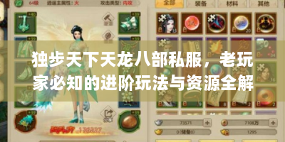 独步天下天龙八部私服，老玩家必知的进阶玩法与资源全解析