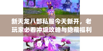 新天龙八部私服今天新开，老玩家必看冲级攻略与隐藏福利