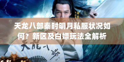 天龙八部秦时明月私服状况如何？新区及白嫖玩法全解析