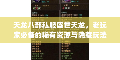 天龙八部私服盛世天龙，老玩家必备的稀有资源与隐藏玩法揭秘