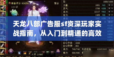 天龙八部广告服sf资深玩家实战指南，从入门到精通的高效路径