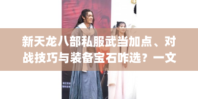 新天龙八部私服武当加点、对战技巧与装备宝石咋选？一文全解