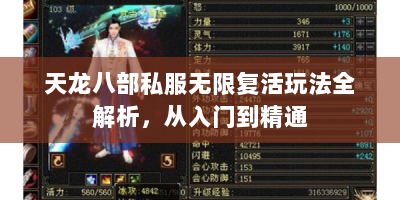 天龙八部私服无限复活玩法全解析，从入门到精通