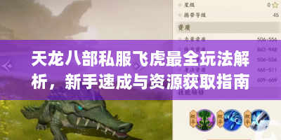 天龙八部私服飞虎最全玩法解析，新手速成与资源获取指南