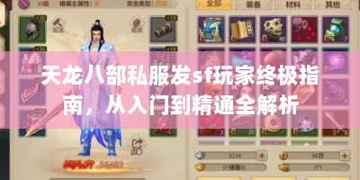 天龙八部私服发sf玩家终极指南，从入门到精通全解析