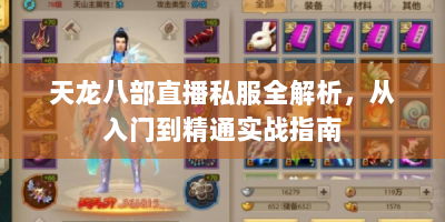 天龙八部直播私服全解析，从入门到精通实战指南