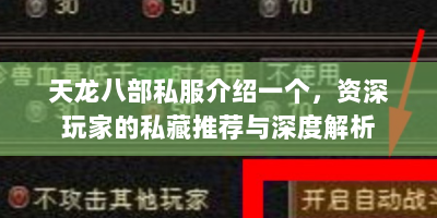 天龙八部私服介绍一个，资深玩家的私藏推荐与深度解析