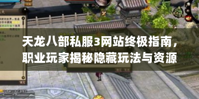 天龙八部私服3网站终极指南，职业玩家揭秘隐藏玩法与资源库