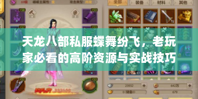 天龙八部私服蝶舞纷飞，老玩家必看的高阶资源与实战技巧