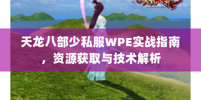 天龙八部少私服WPE实战指南，资源获取与技术解析