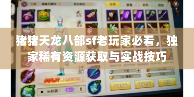 猪猪天龙八部sf老玩家必看，独家稀有资源获取与实战技巧