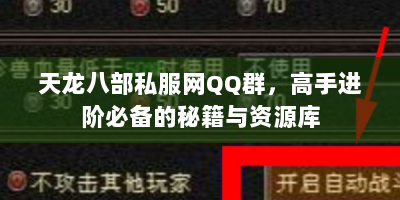 天龙八部私服网QQ群，高手进阶必备的秘籍与资源库