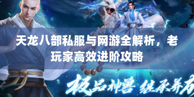 天龙八部私服与网游全解析，老玩家高效进阶攻略