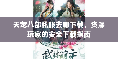 天龙八部私服去哪下载，资深玩家的安全下载指南