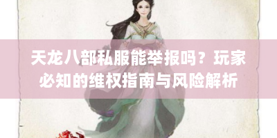 天龙八部私服能举报吗？玩家必知的维权指南与风险解析