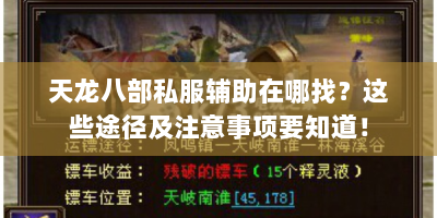 天龙八部私服辅助在哪找？这些途径及注意事项要知道！
