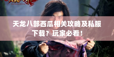 天龙八部西瓜相关攻略及私服下载？玩家必看！