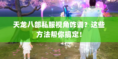天龙八部私服视角咋调？这些方法帮你搞定！